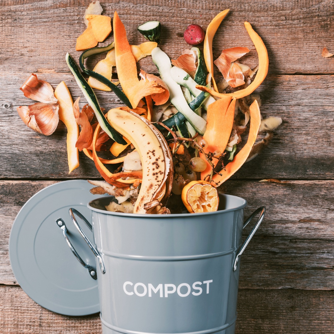 Compostage : l'Immobilière Pujol engage ses copropriétés dans cette solution