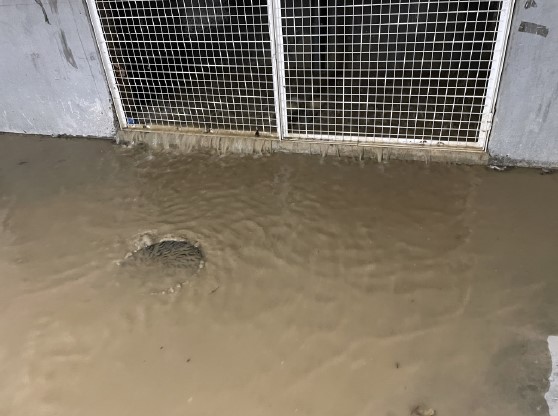 Inondations à Marseille : Les enjeux de l’évacuation des eaux pluviales en copropriété